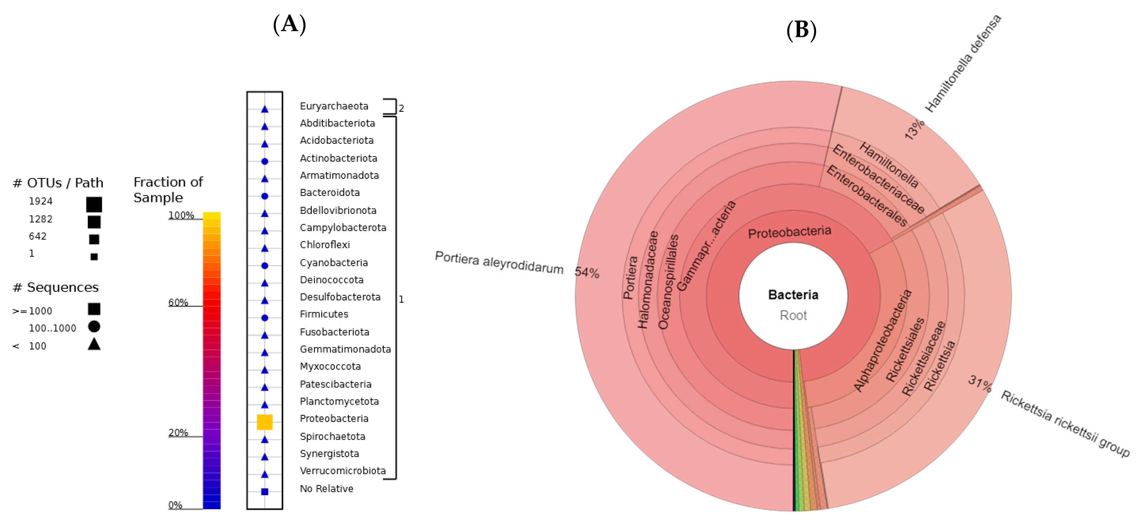 Microbiolres 16 00163 g004
