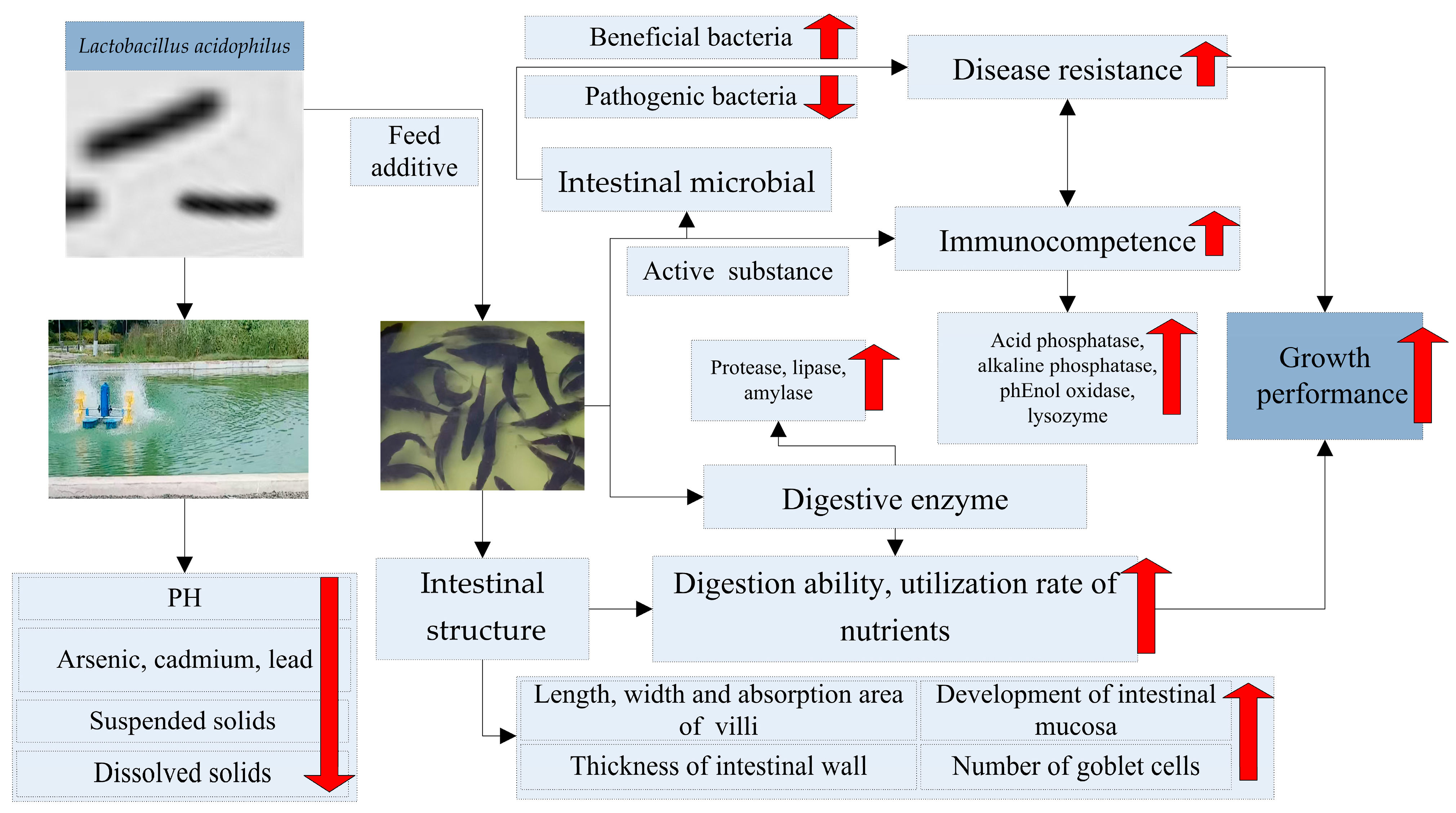 Microbiolres 16 00174 g001