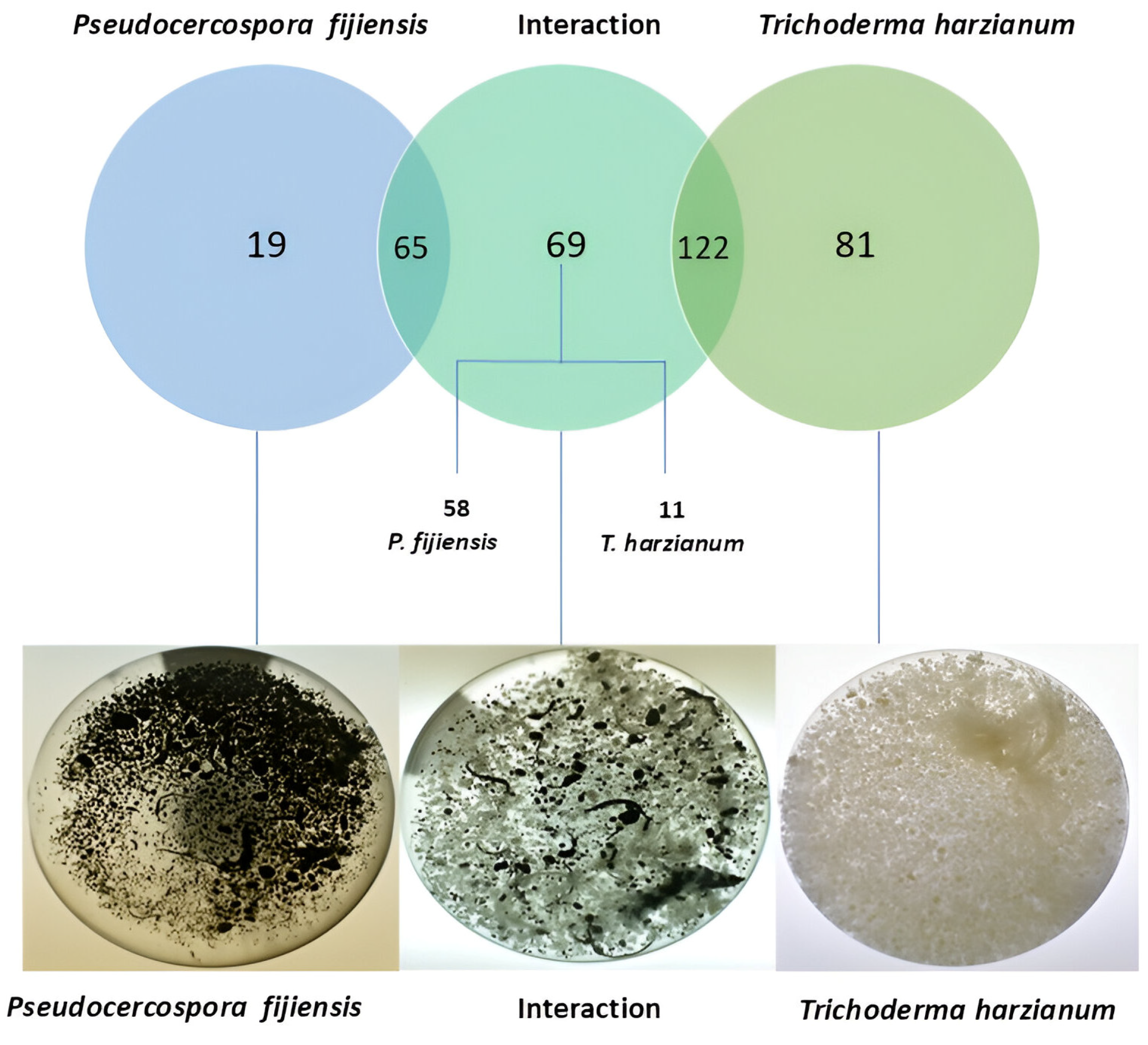Microbiolres 16 00175 g001