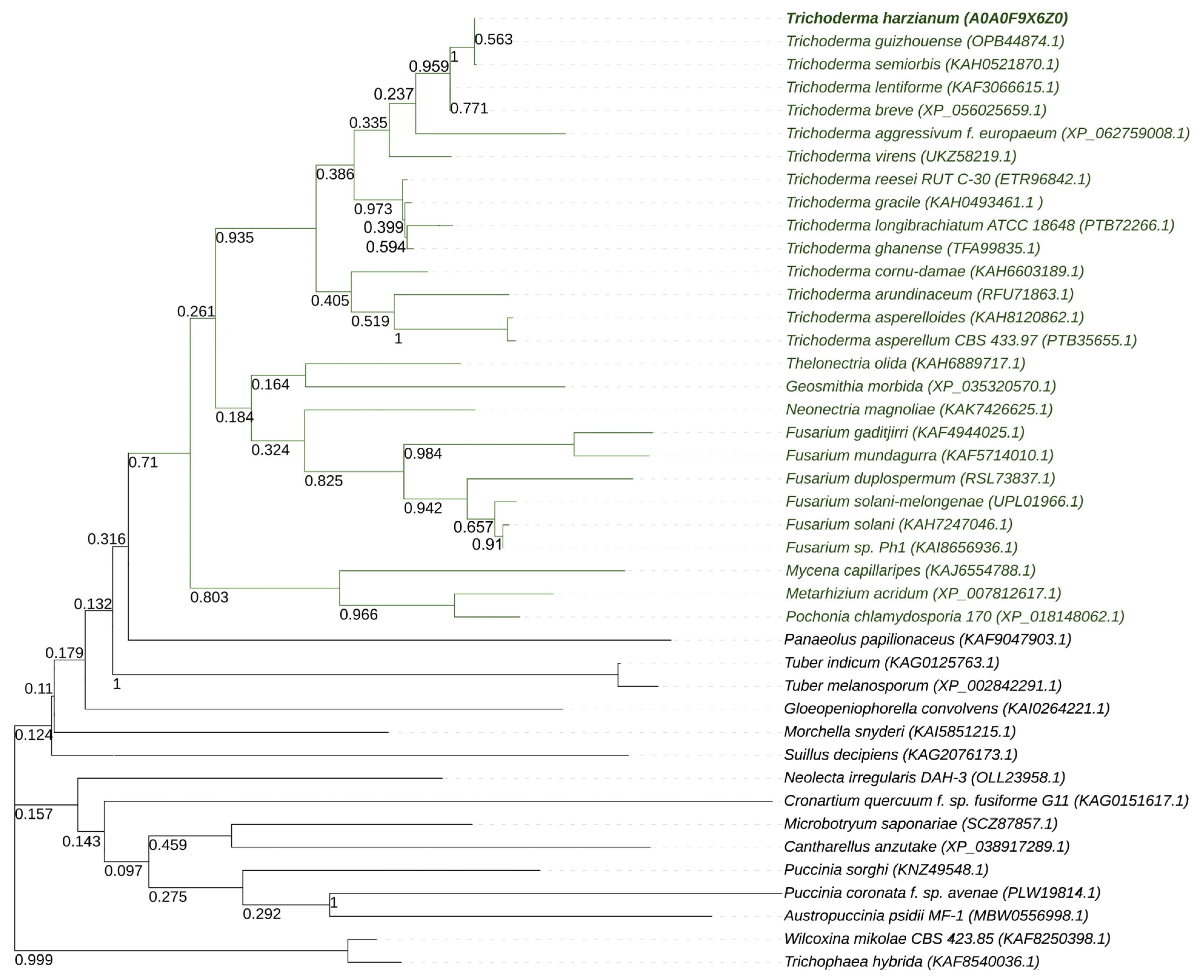 Microbiolres 16 00175 g006