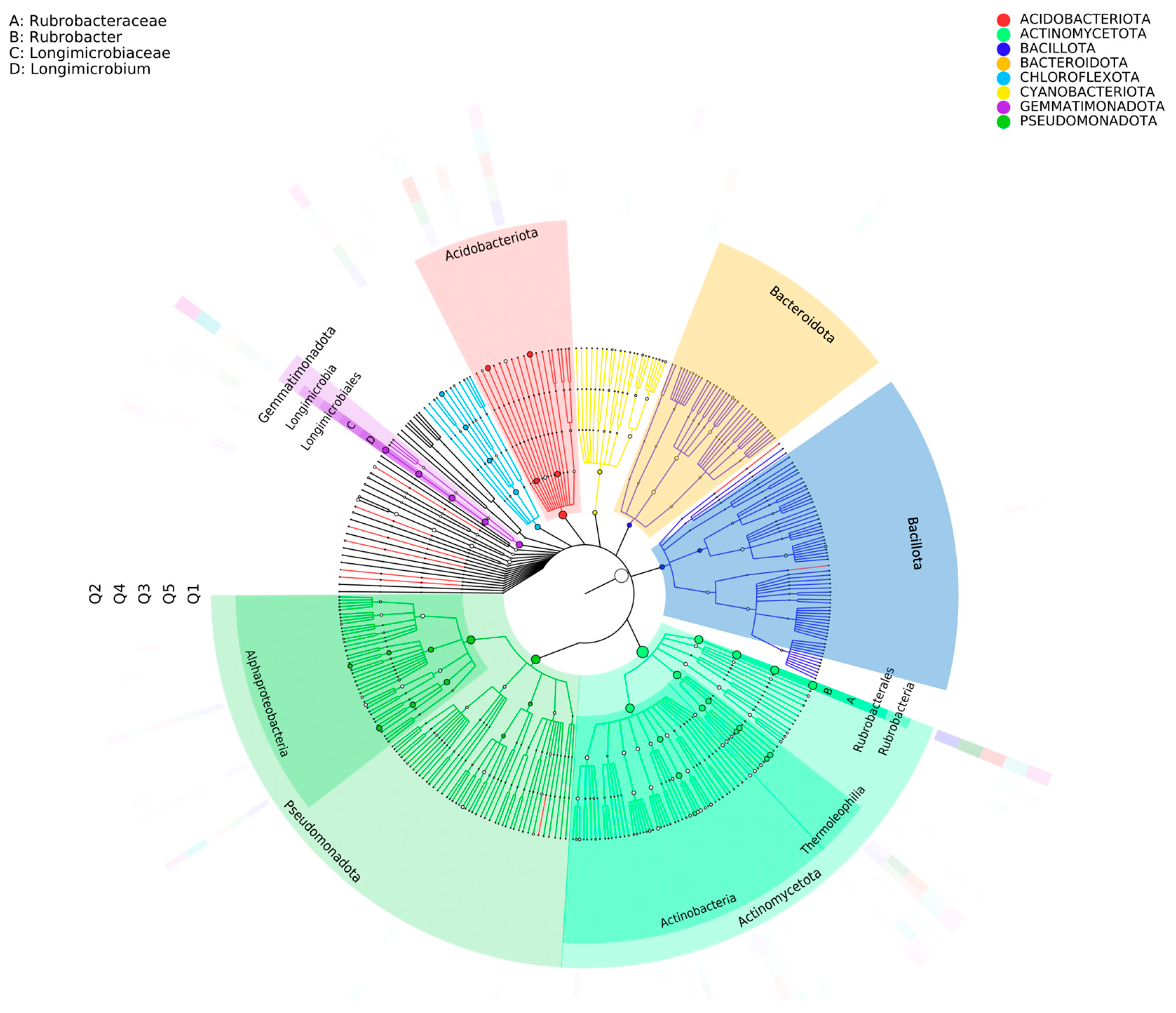 Microbiolres 16 00196 g004 Microbiolres 16 00196 g004