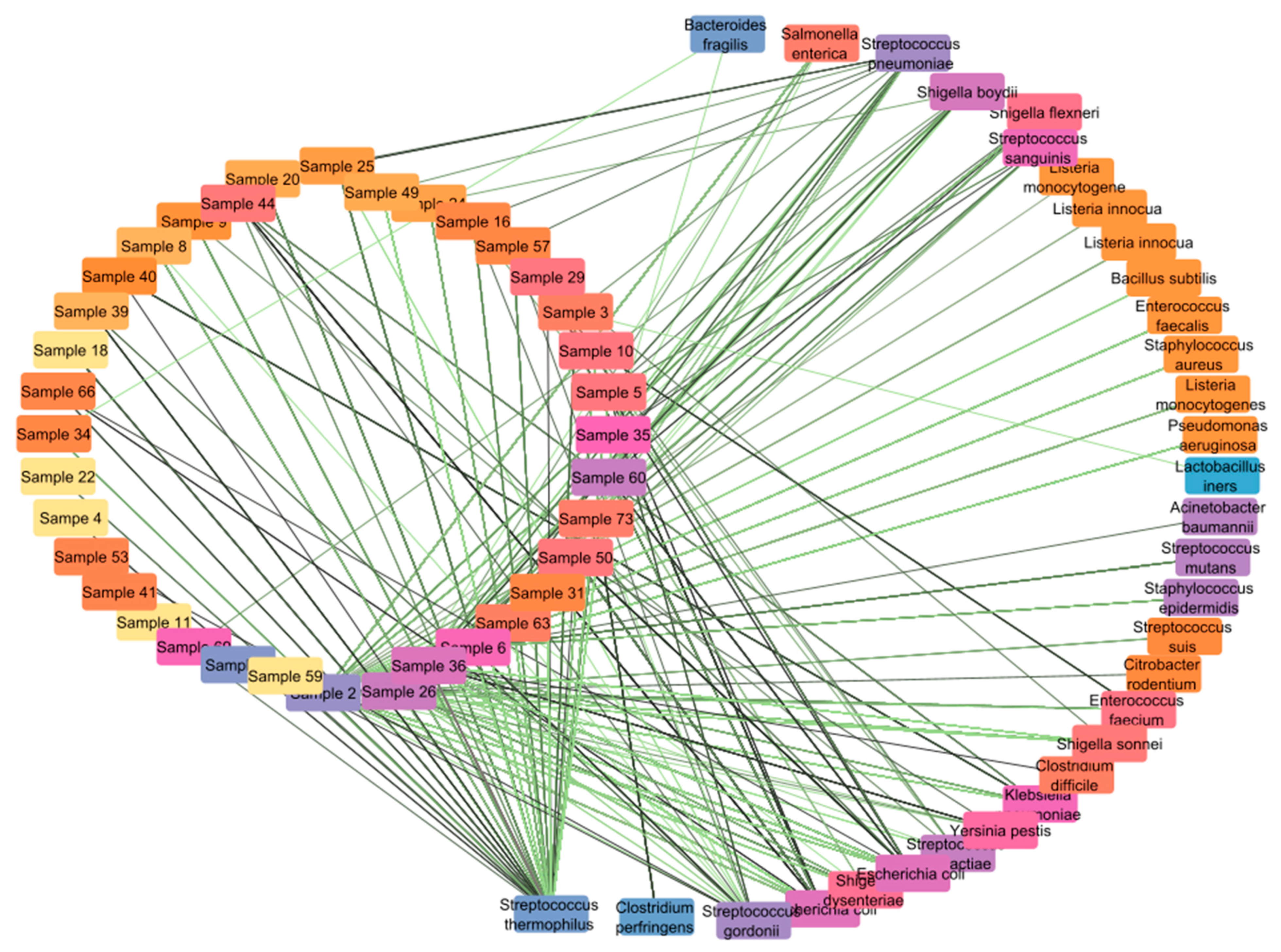 Microbiolres 16 00197 g009 Microbiolres 16 00197 g009
