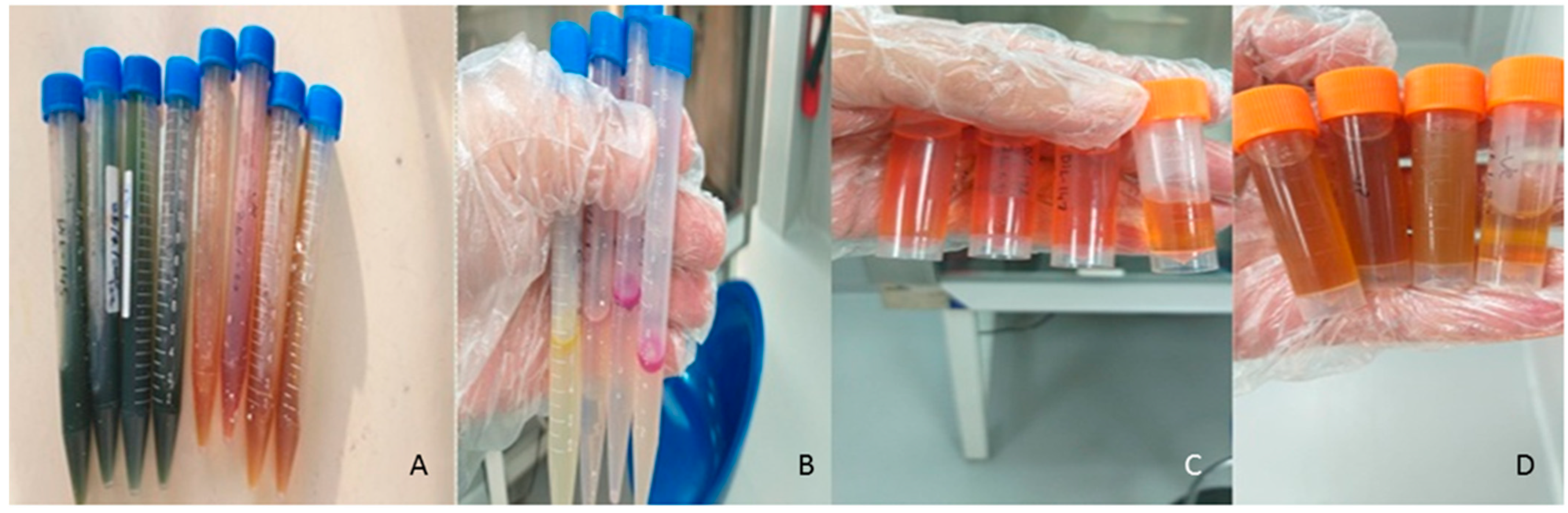 Microbiolres 16 00222 g002