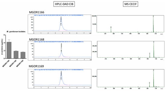 Microbiolres 16 00239 g0a3