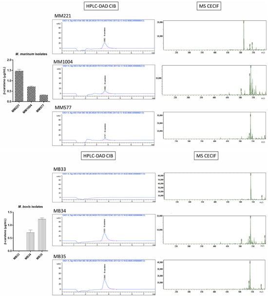 Microbiolres 16 00239 g0a4