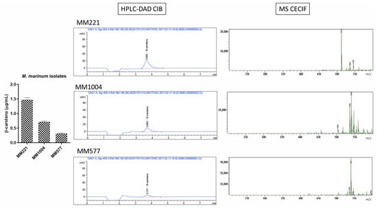Microbiolres 16 00239 g0a5a
