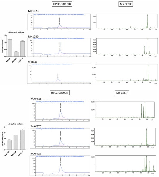 Microbiolres 16 00239 g0a5b