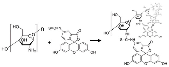Microbiolres 16 00243 g001