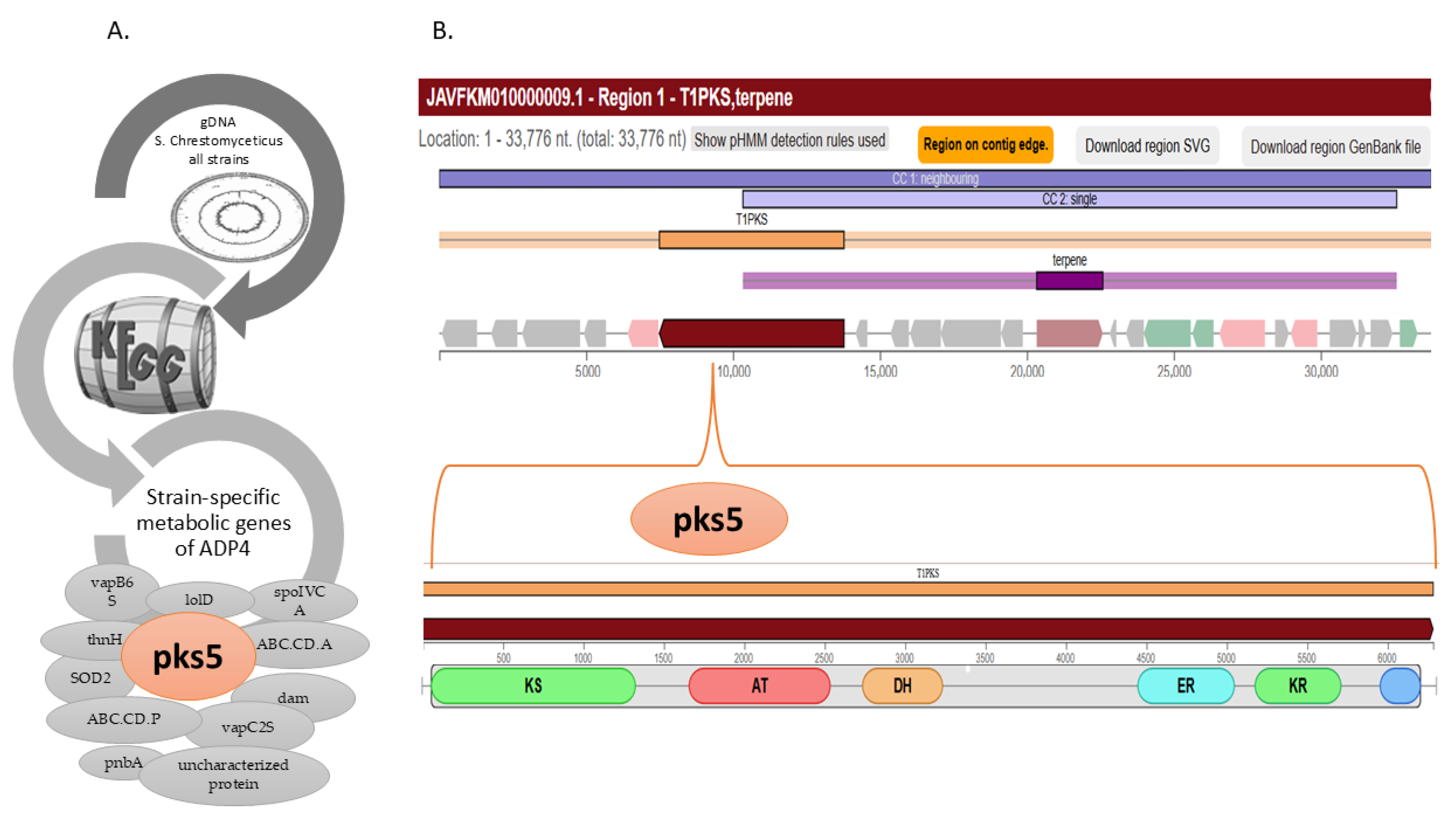 Microbiolres 16 00249 g001