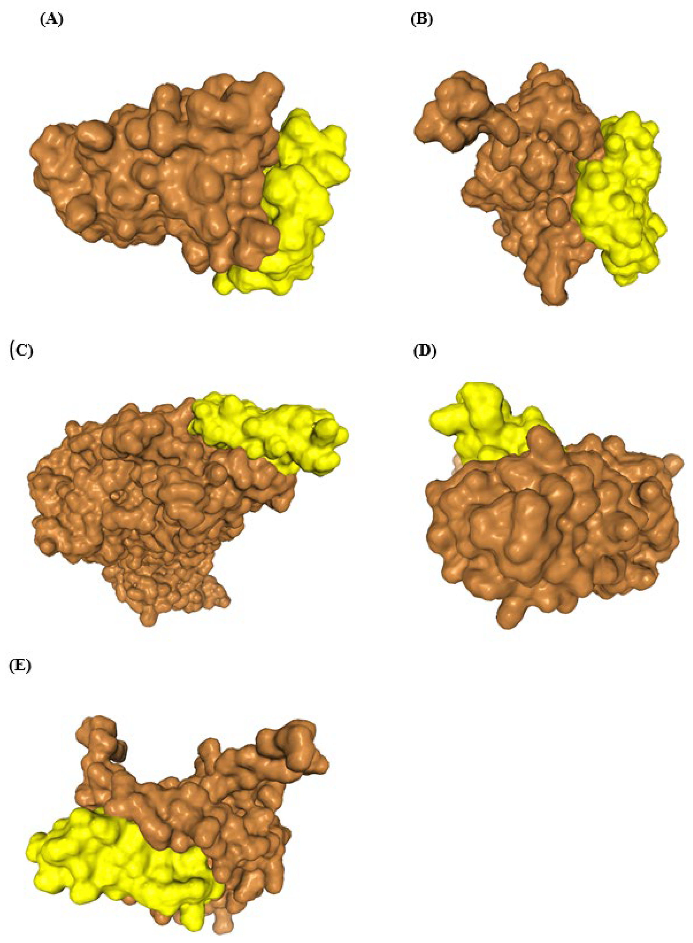 Microbiolres 16 00249 g005
