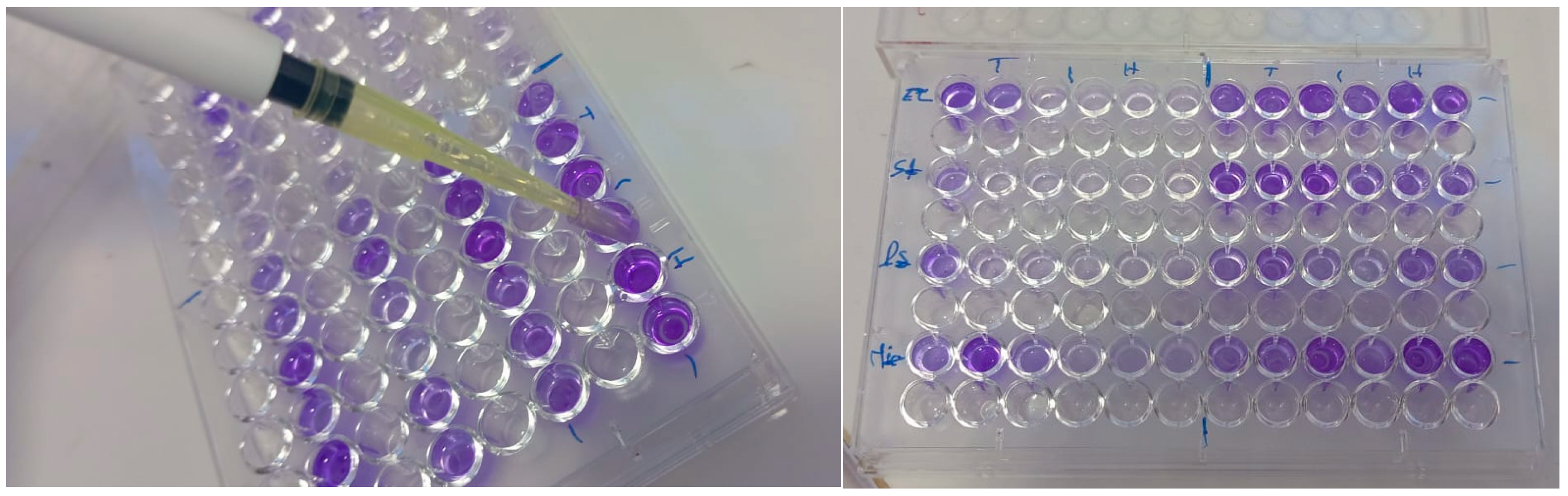 Microbiolres 16 00260 g001 Microbiolres 16 00260 g001