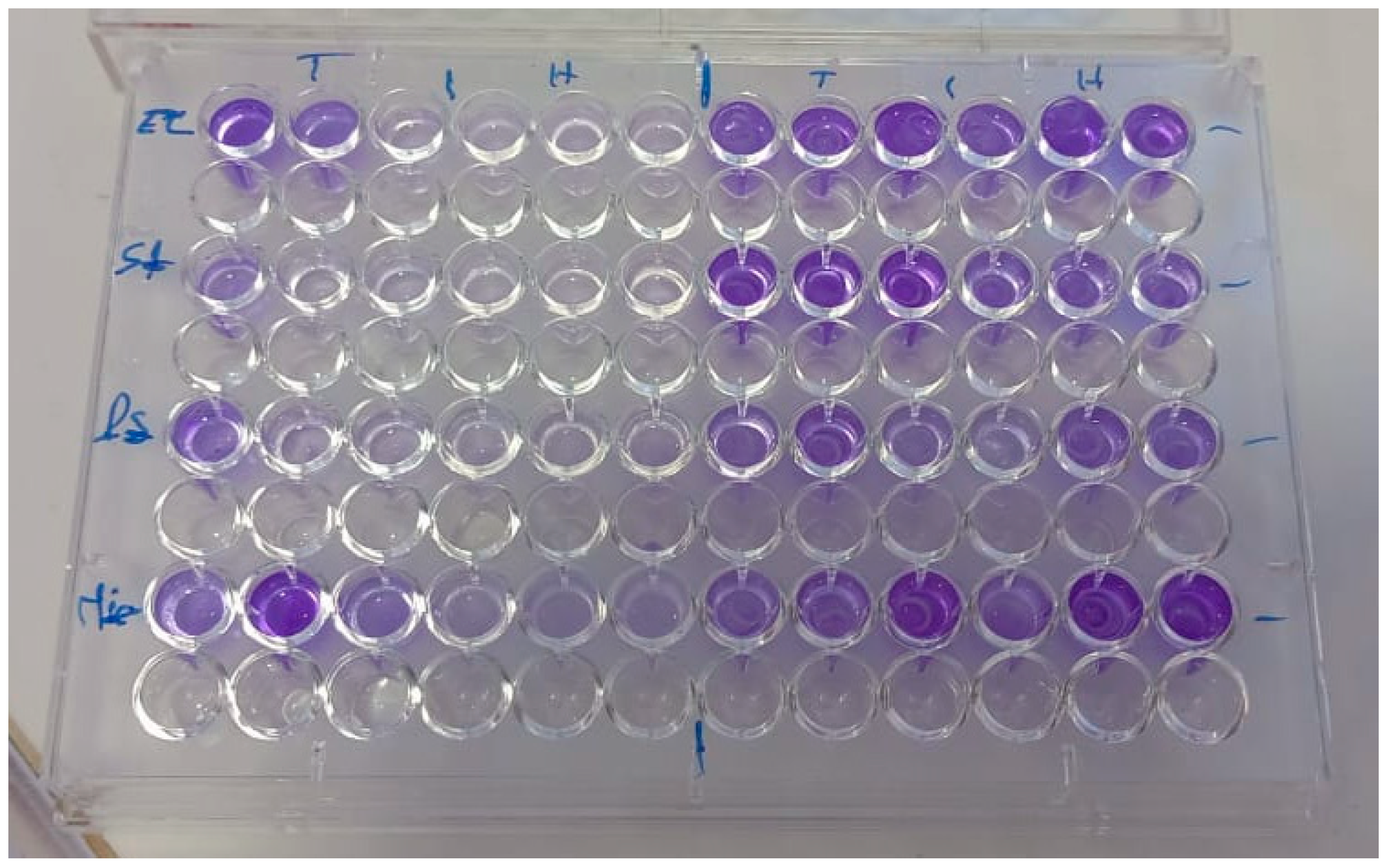 Microbiolres 16 00260 g002 Microbiolres 16 00260 g002
