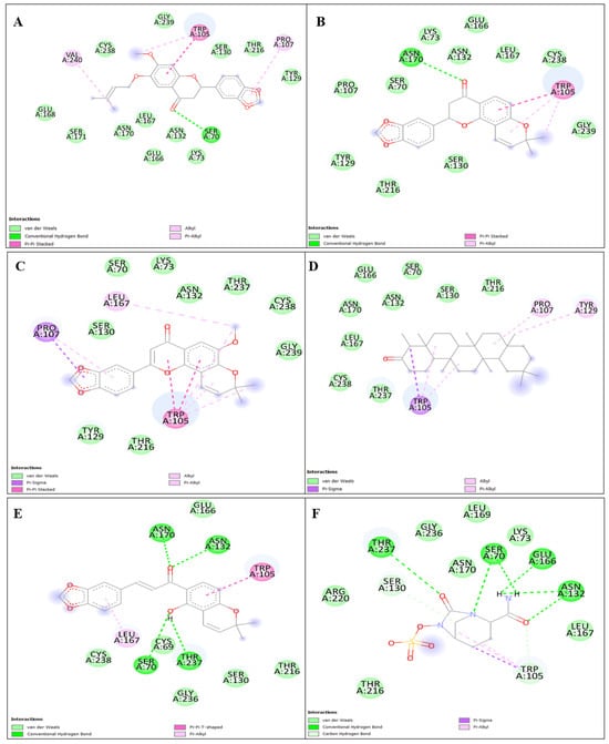Molecular Interaction KPC with the Ligand 1 (A), Ligand 2 (B), Ligand 3 (C), Ligand 4 (D), Ligand 5 (E) and control Avibactam (F).