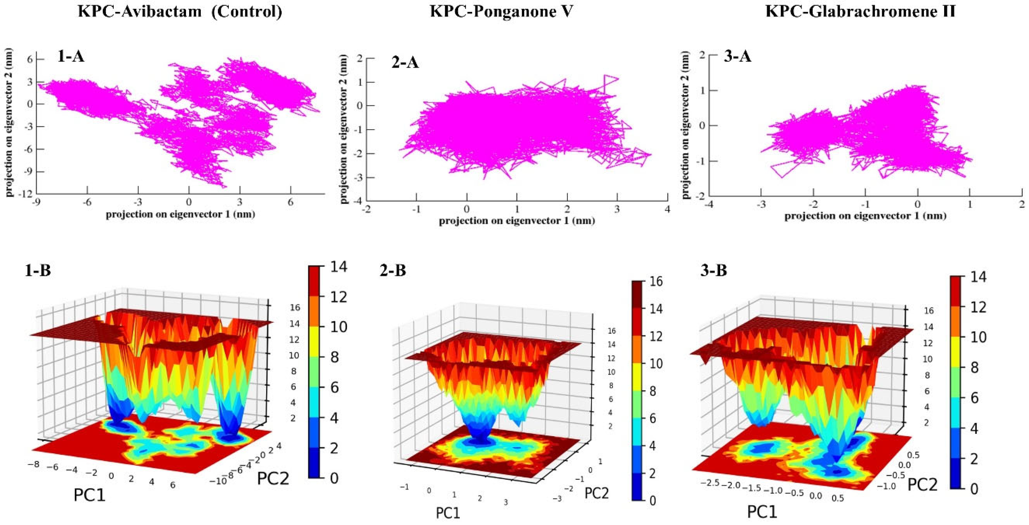 Microbiolres 16 00262 g008