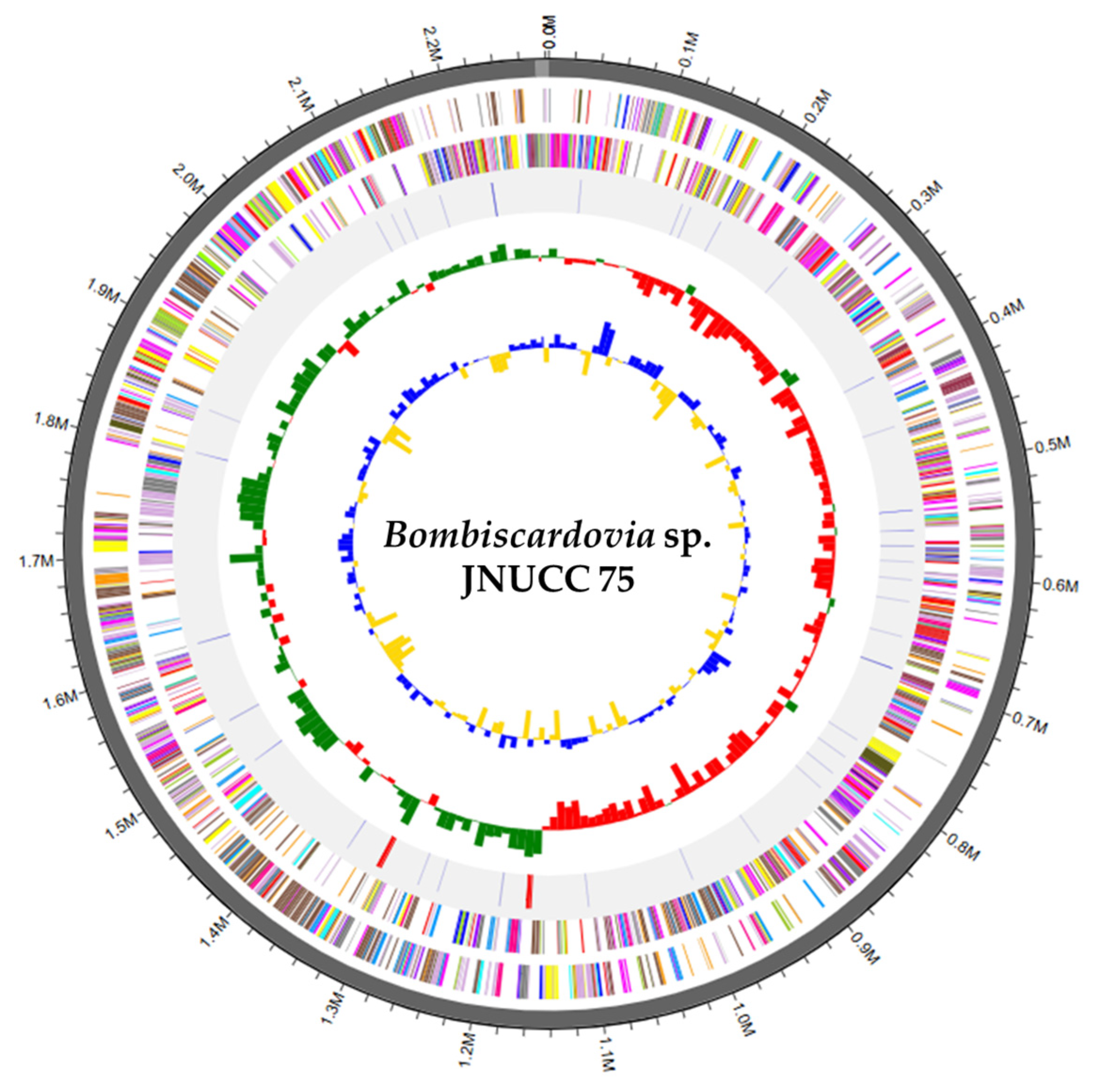 Microbiolres 17 00037 g001 Microbiolres 17 00037 g001