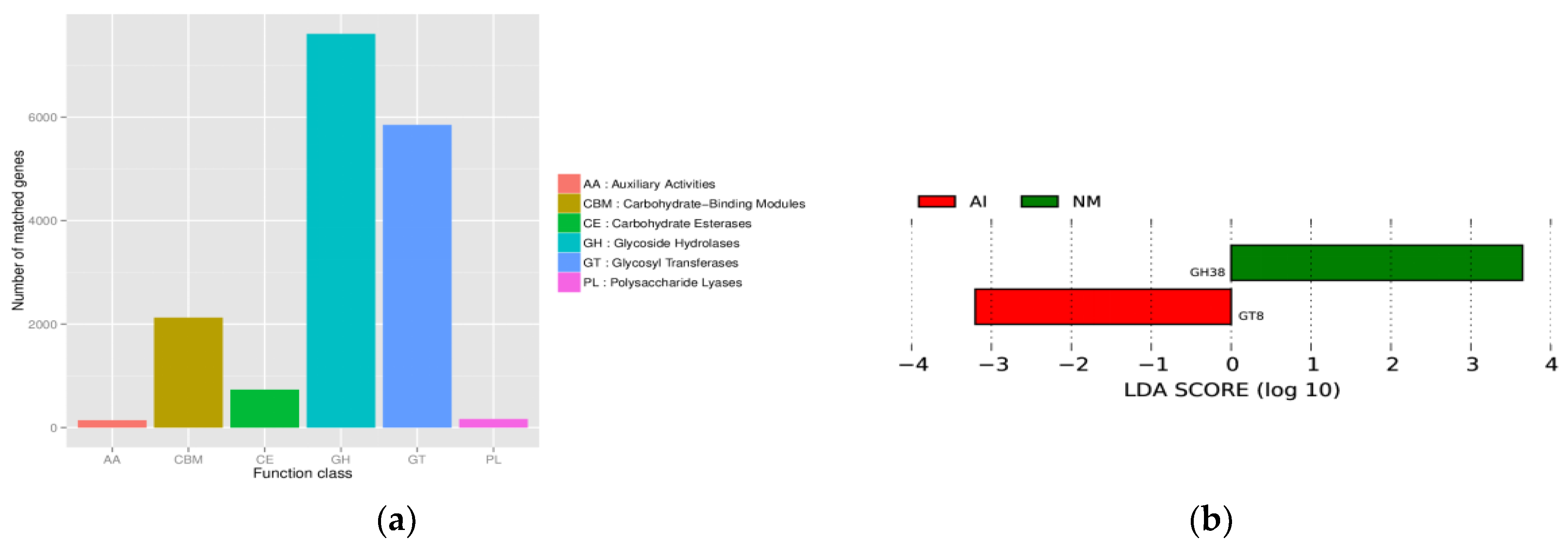 Microbiolres 17 00043 g005