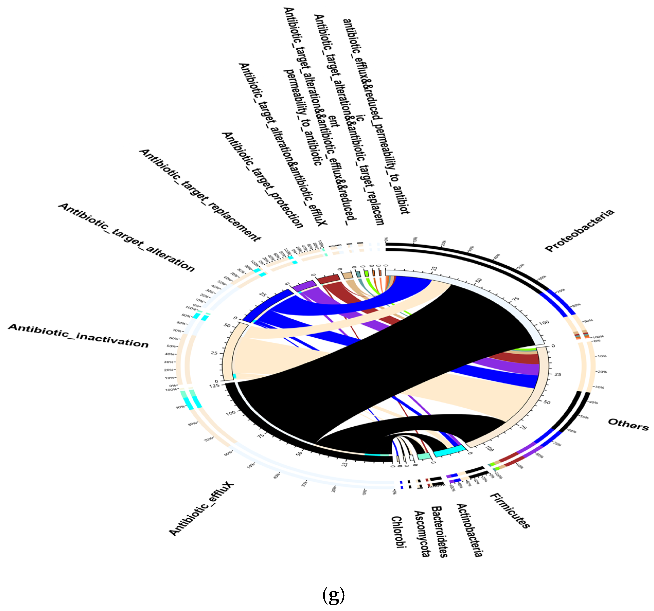 Microbiolres 17 00043 g006c