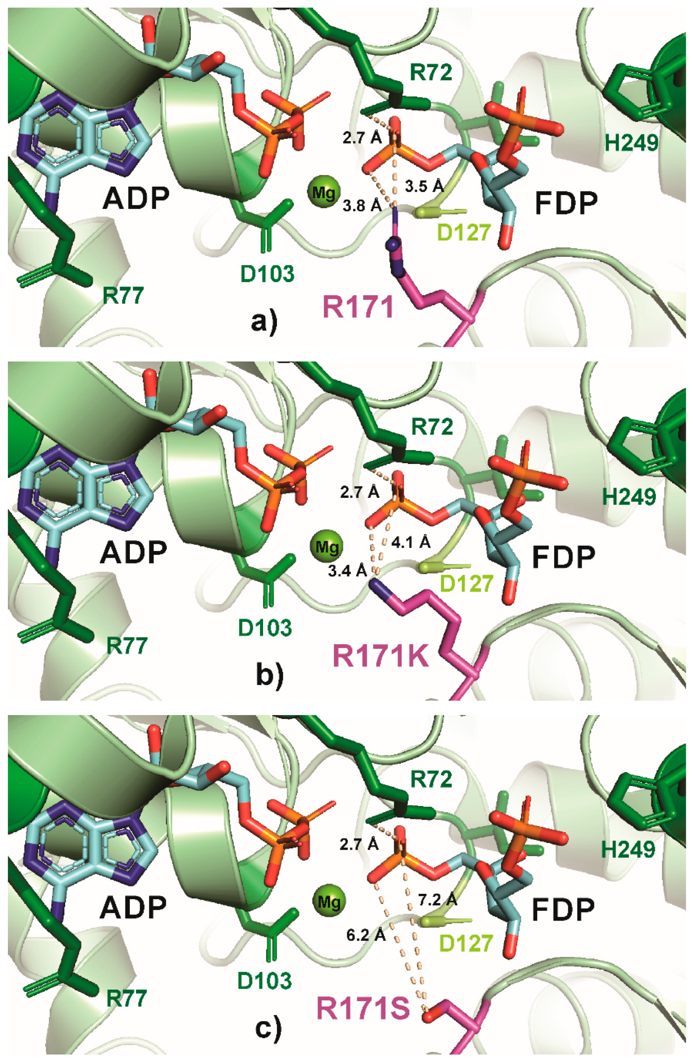 Microbiolres 17 00049 g005a
