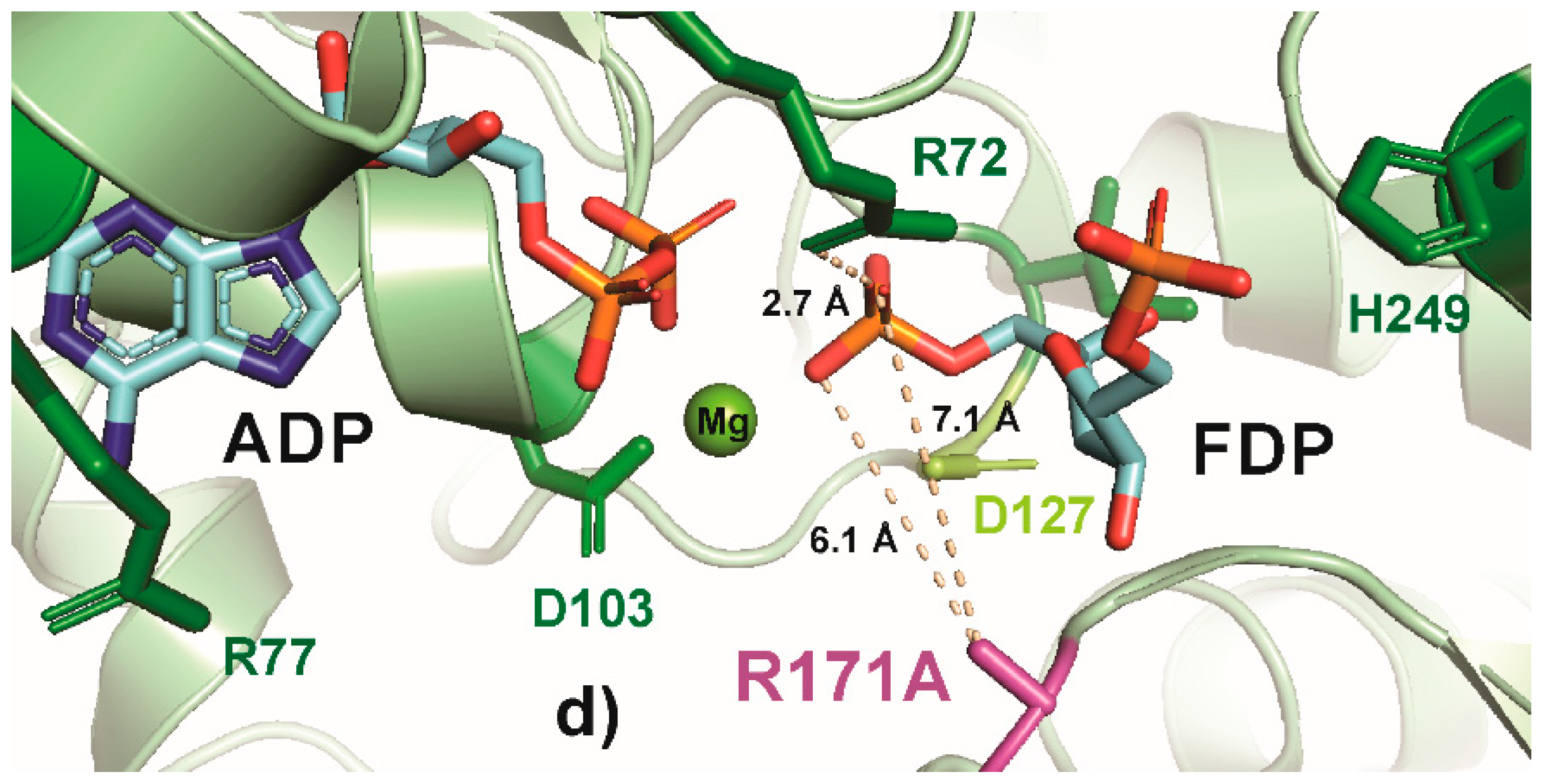 Microbiolres 17 00049 g005b