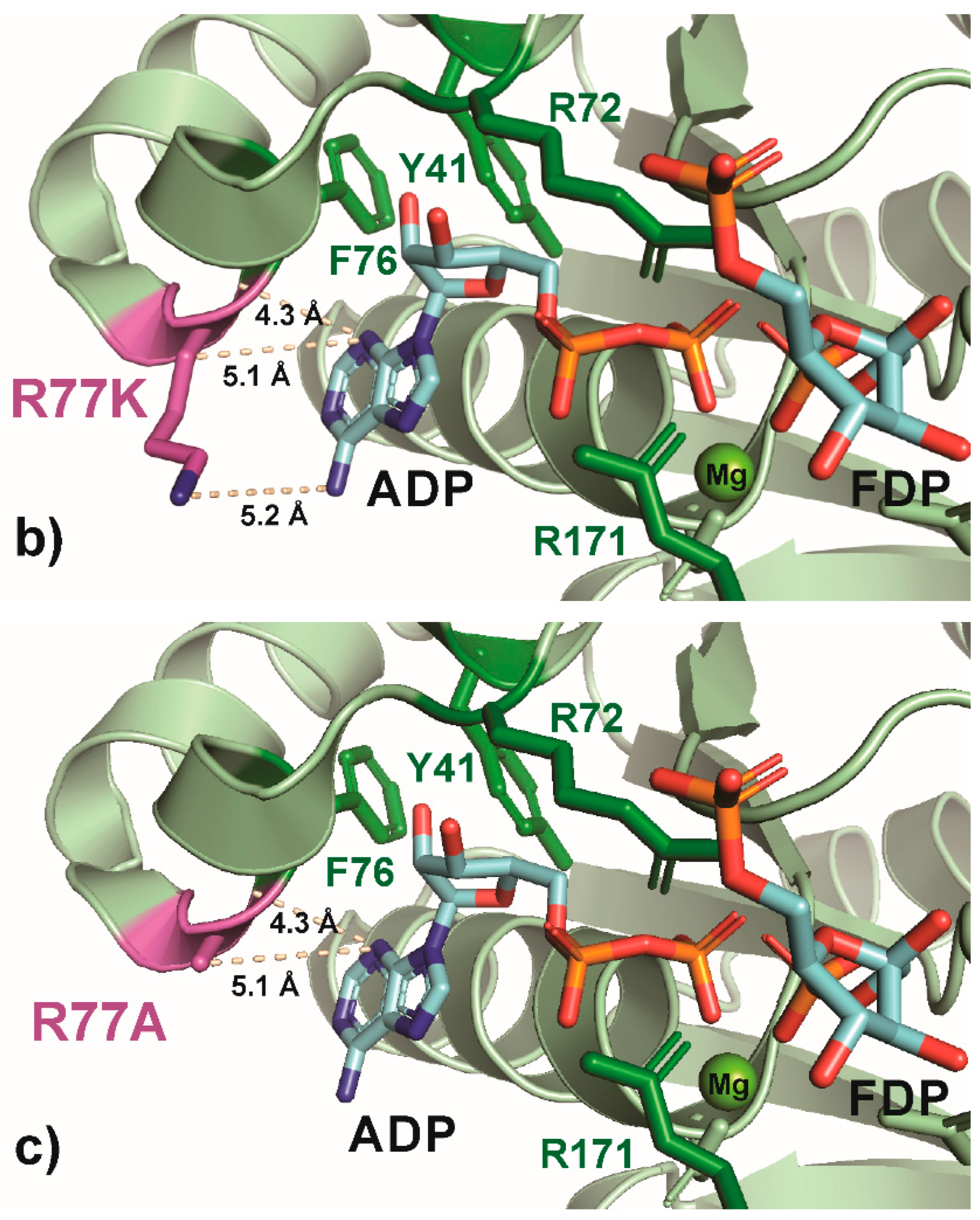 Microbiolres 17 00049 g006b