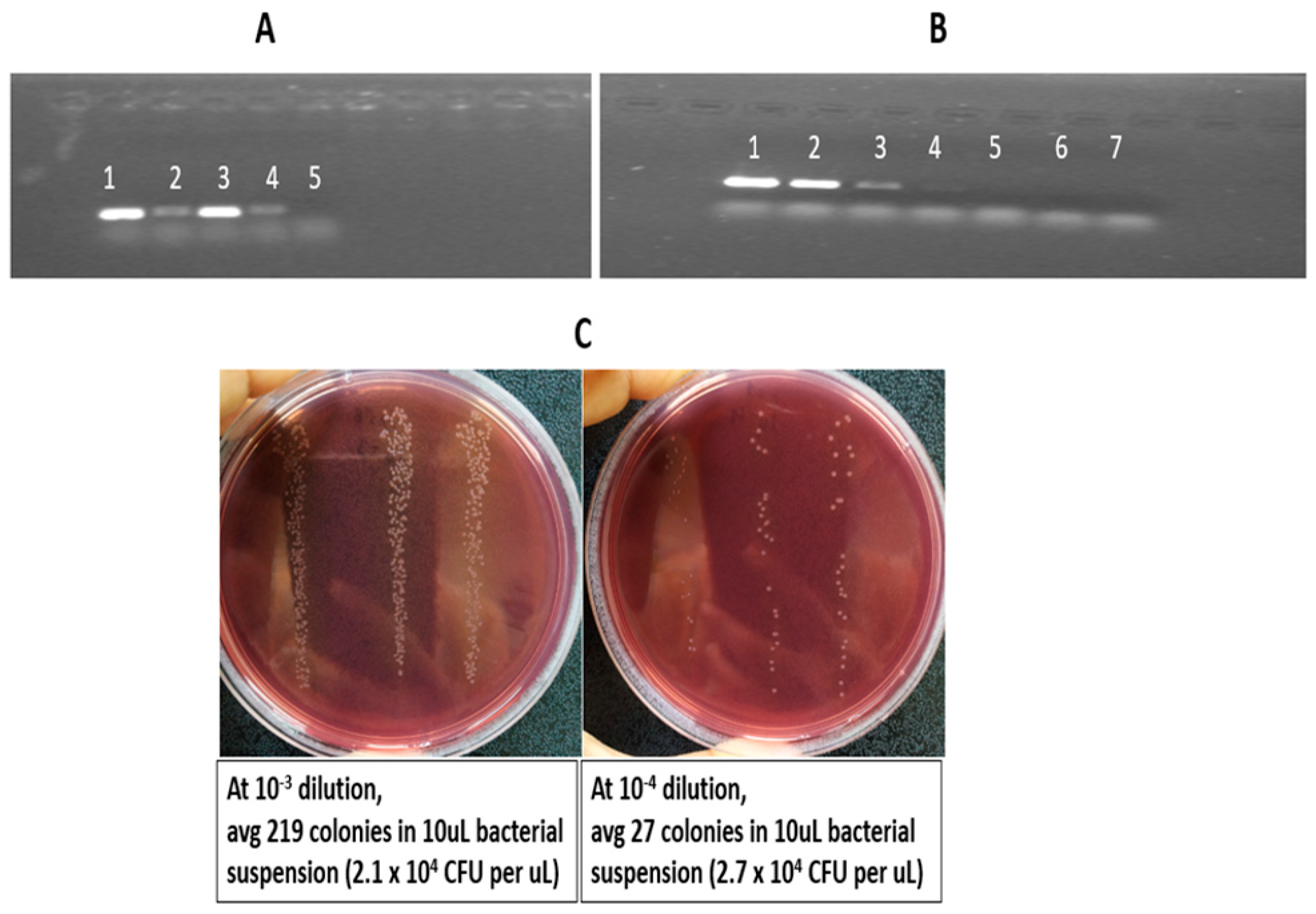 Microbiolres 17 00104 g002 Microbiolres 17 00104 g002
