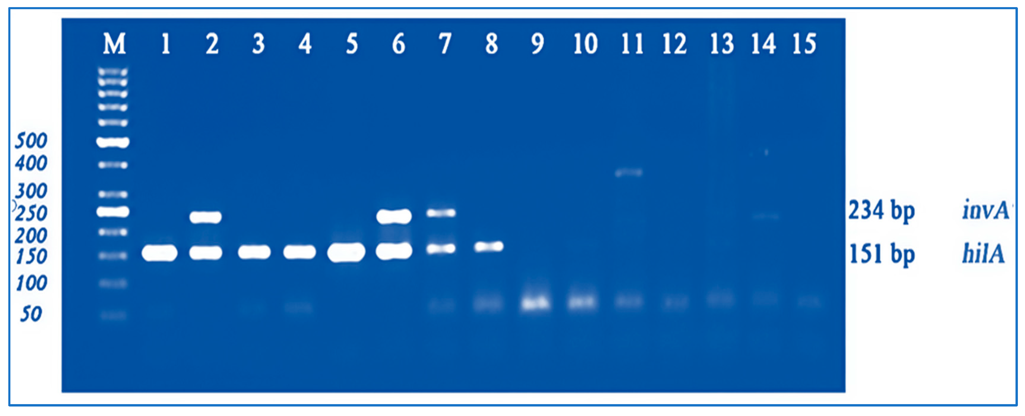 Microbiolres 17 00189 g002 Microbiolres 17 00189 g002