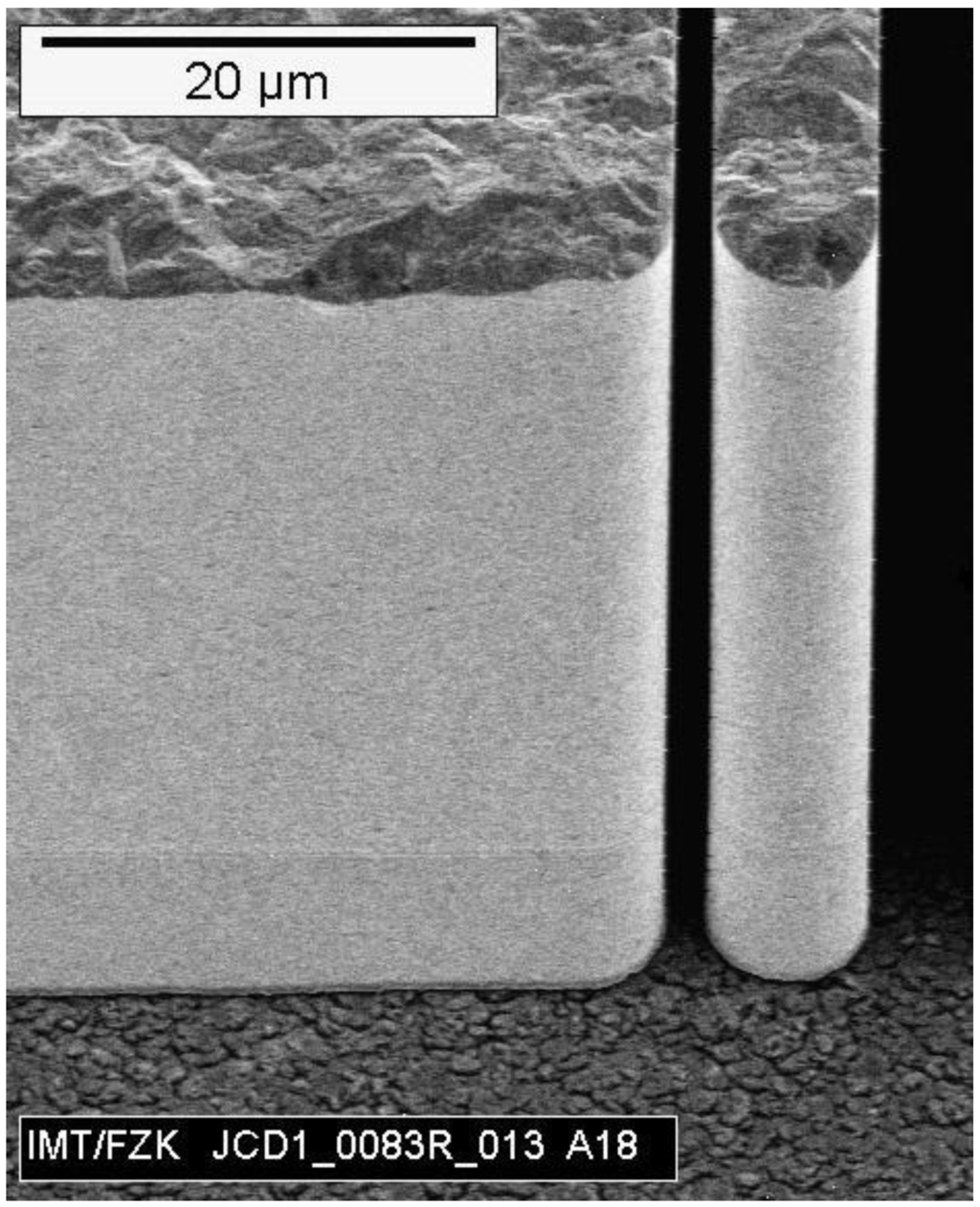 Micromachines 01 00068 g004 1024