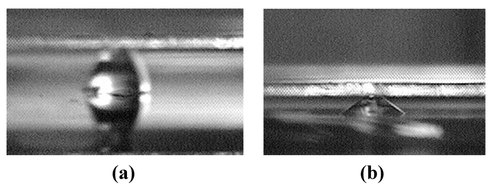 Micromachines 03 00010 g001