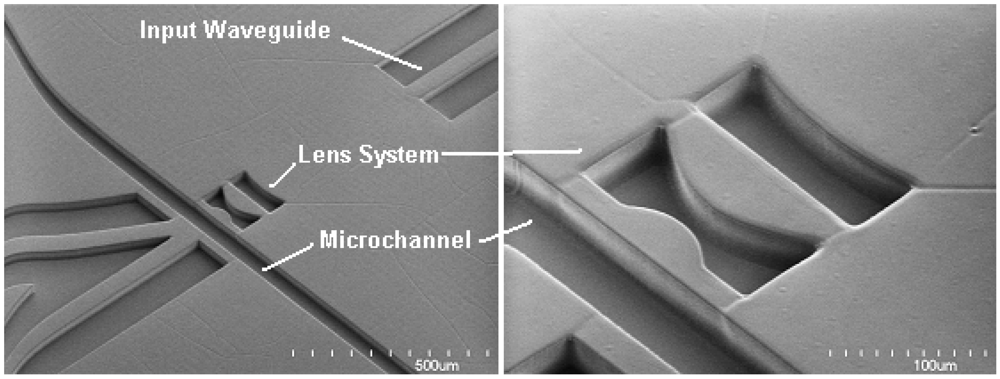 Micromachines 03 00062 g002