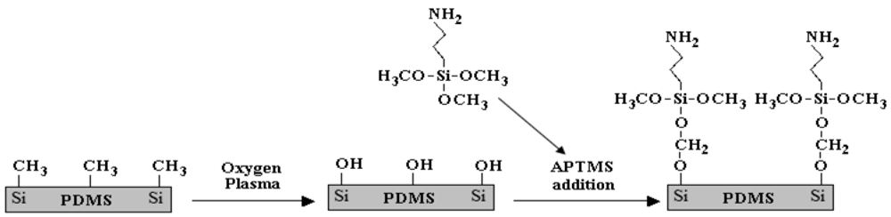 Micromachines 03 00062 g003