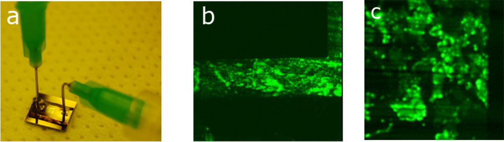 Micromachines 03 00114 g003