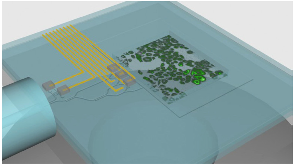 Micromachines 03 00114 g004 1024