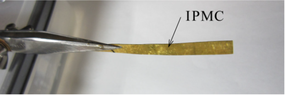 Micromachines 03 00126 g001 1024