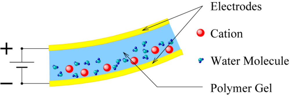 Micromachines 03 00126 g002 1024