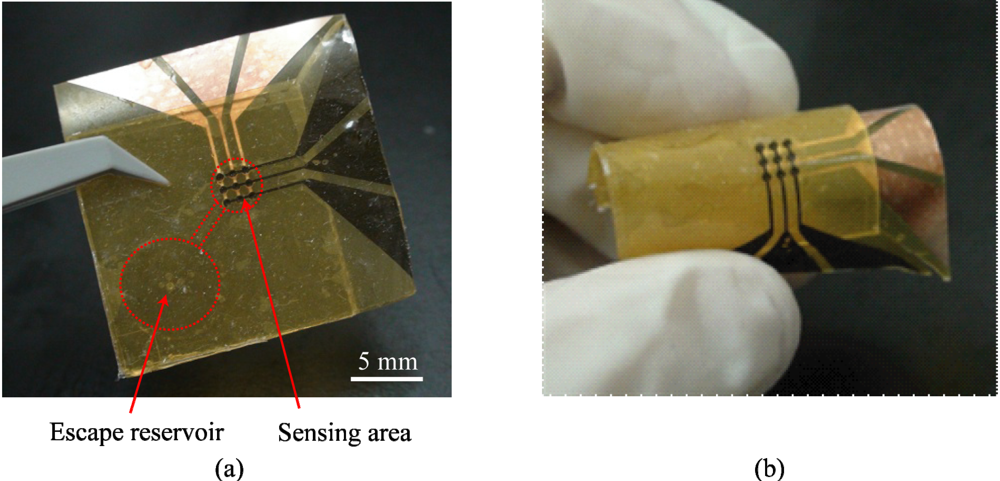 Micromachines 03 00137 g005 1024