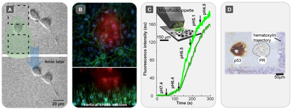Micromachines 03 00442 g005 1024