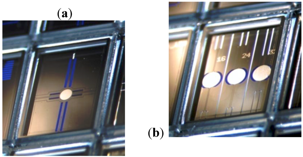 Micromachines 03 00509 g009