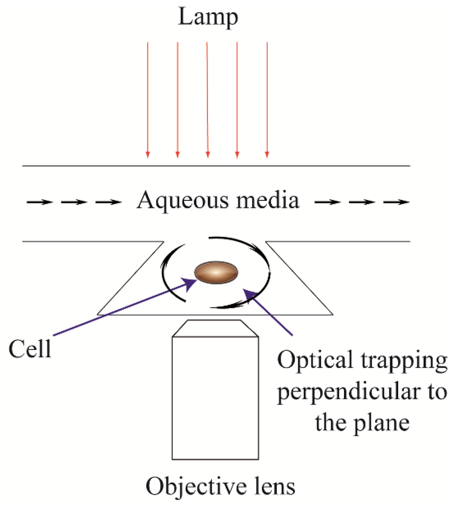 Micromachines 03 00529 g001 1024