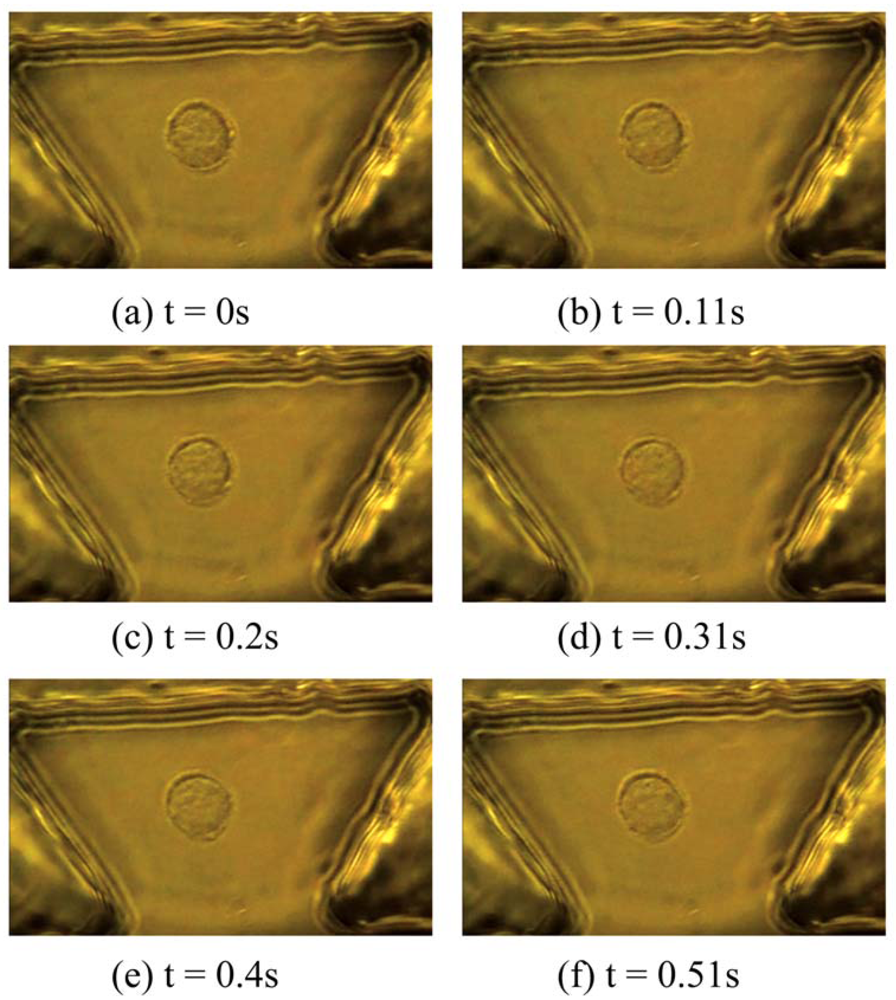 Micromachines 03 00529 g006 1024