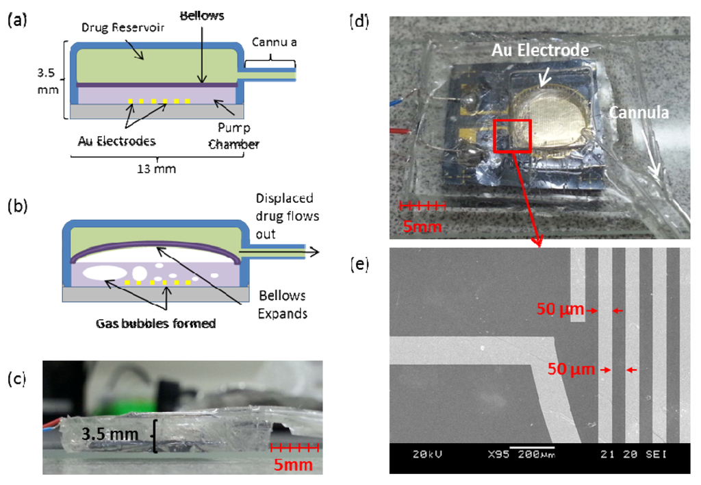 Micromachines 03 00615 g004 1024