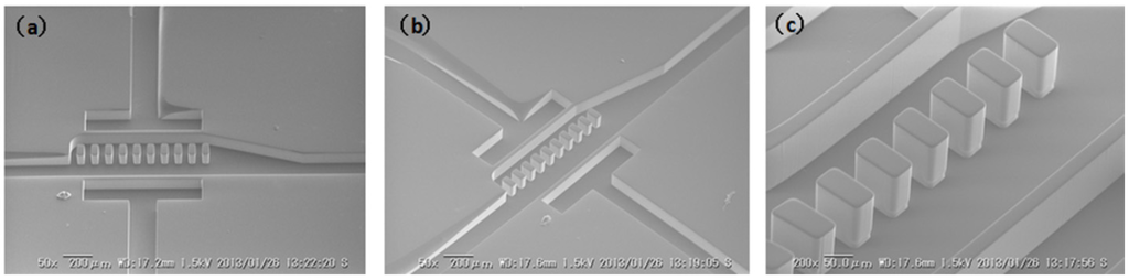 Micromachines 04 00034 g004 1024