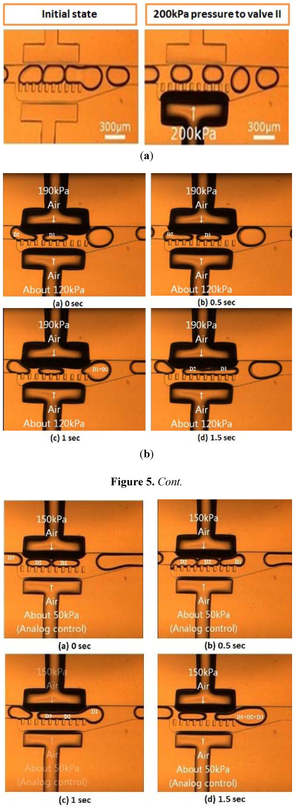 Micromachines 04 00034 g005 1024