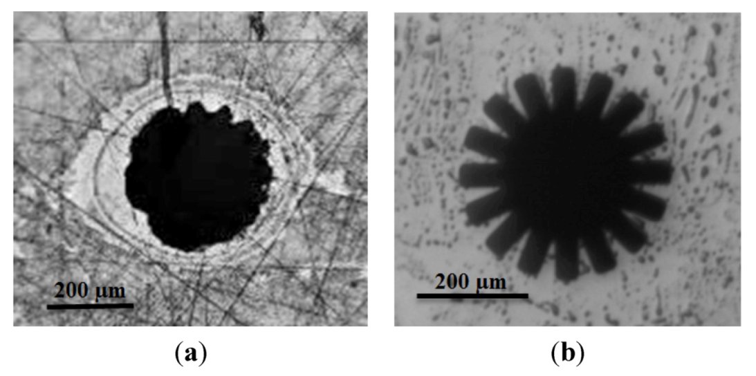 Micromachines 04 00049 g005