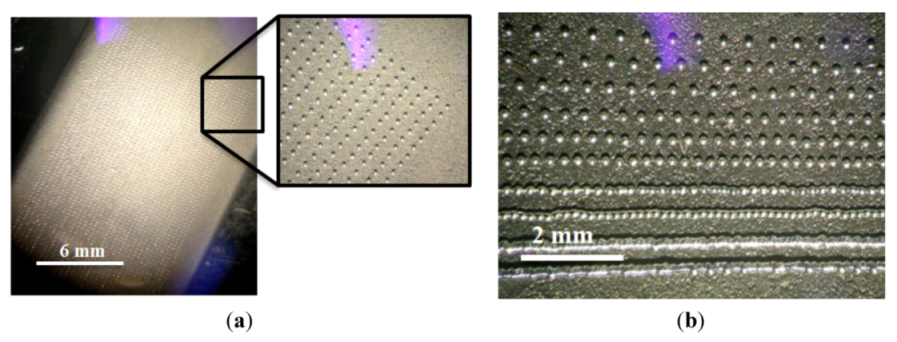 Micromachines 04 00049 g013