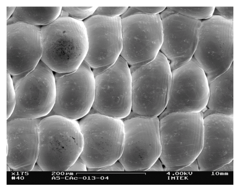 Micromachines 04 00049 g016 1024