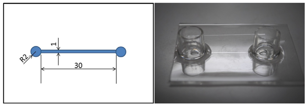 Micromachines 04 00067 g001 1024