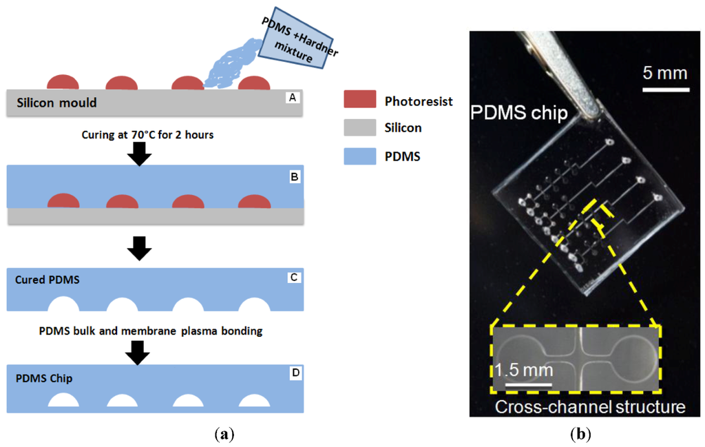Micromachines 04 00080 g002 1024