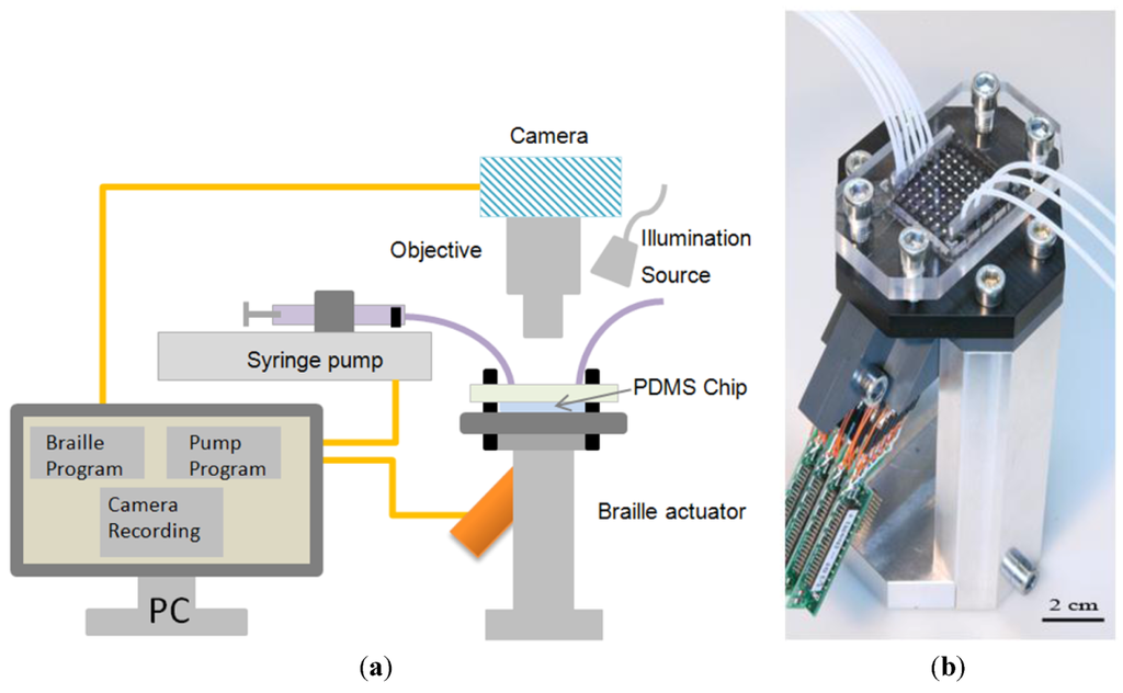 Micromachines 04 00080 g003 1024