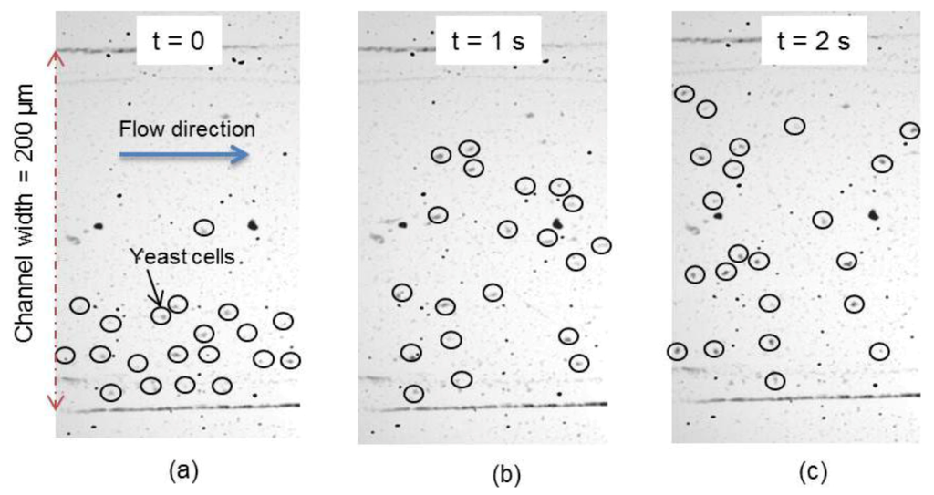 Micromachines 04 00080 g007 1024