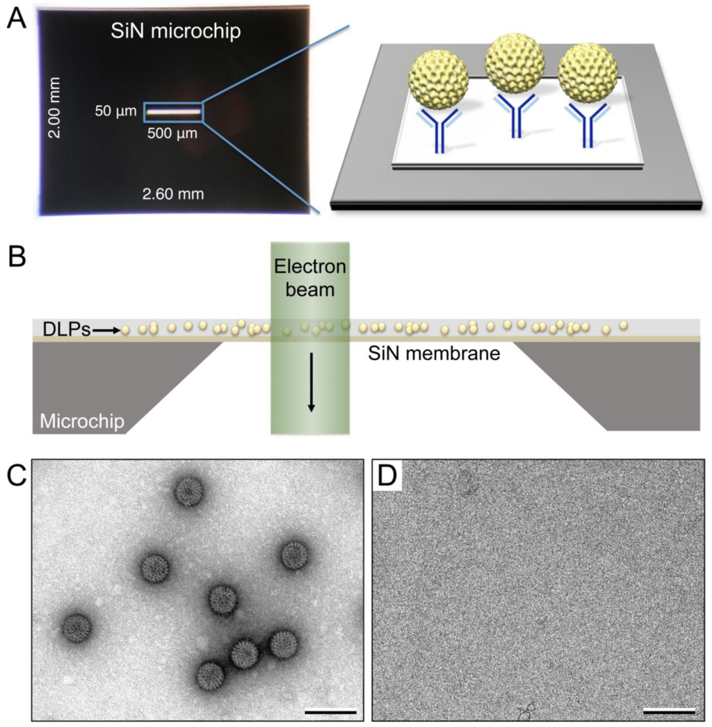 Micromachines 04 00090 g001 1024